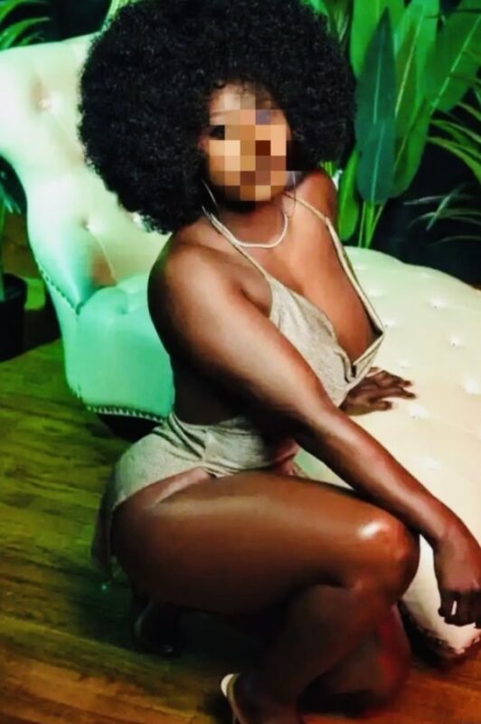 1754669629 14336661513